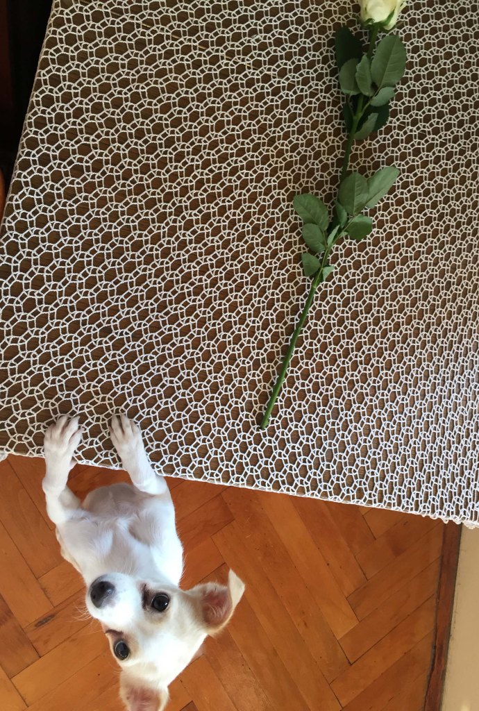 She will use those eyes to get anything. 