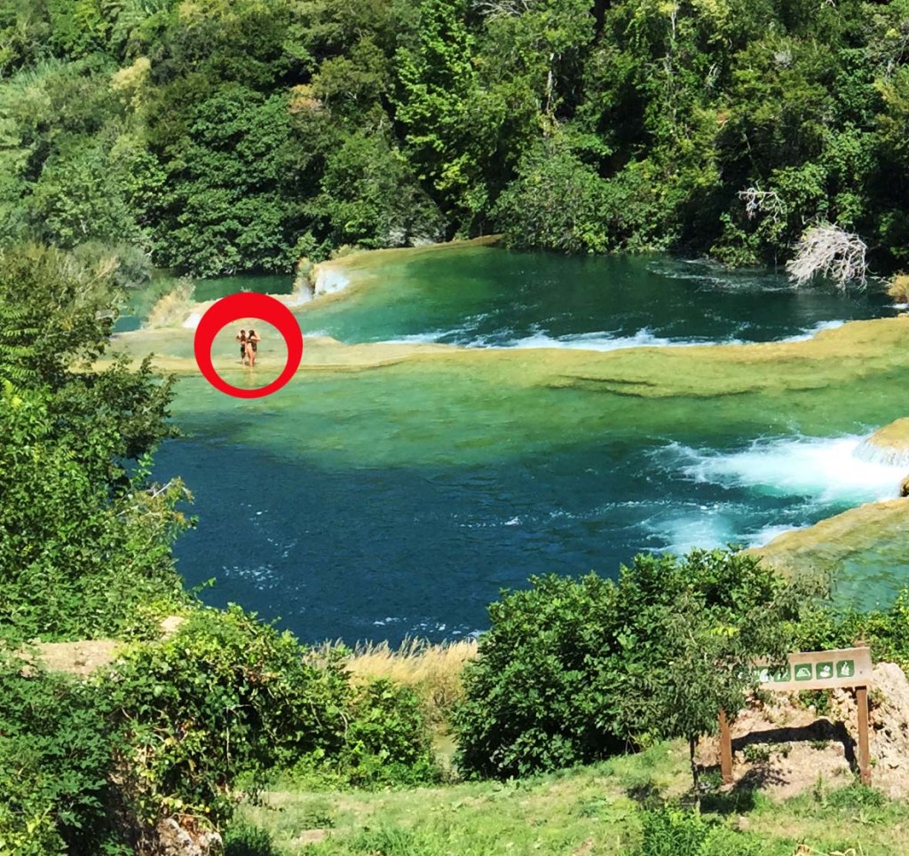 Park rangers take such offences very seriously. 