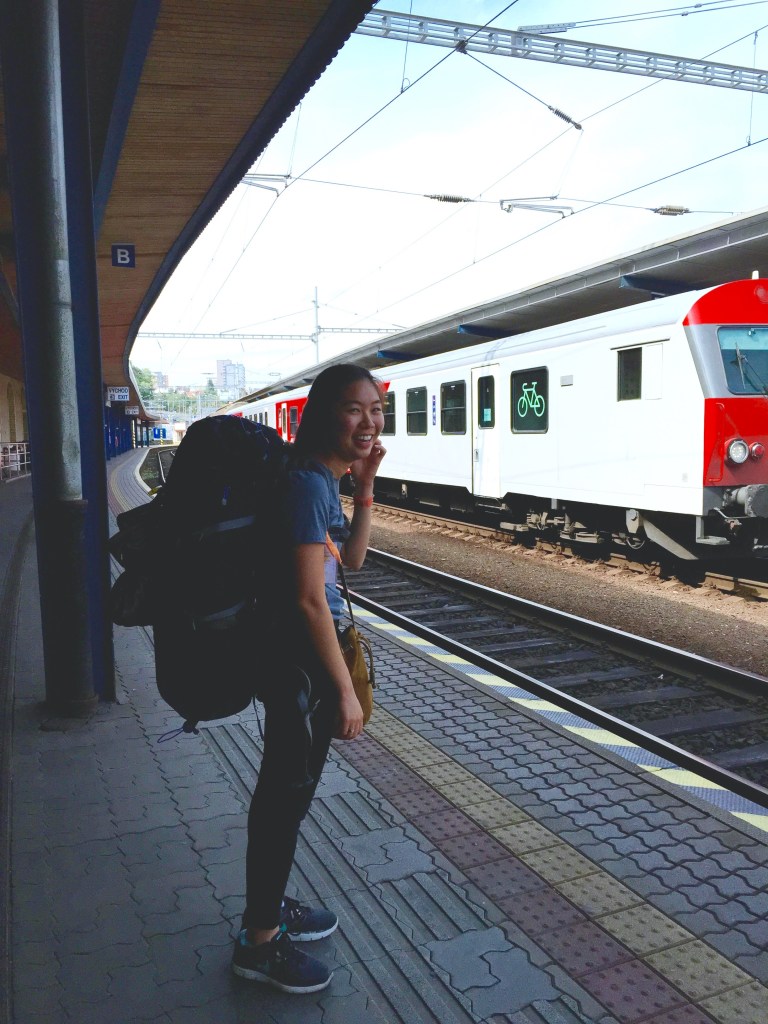 An over-edited picture of my bag weighing in at 13.2kgs.