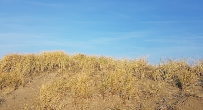 10 moments in 2016 I never photographed, but I never want to&nbsp;forget