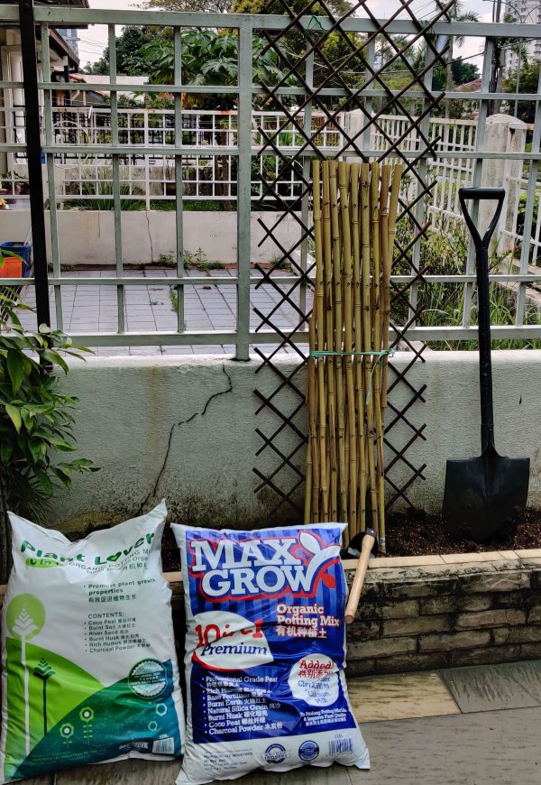 Setting up the soil and trellis back in November 2020.